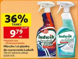 Auchan Mleczko lub pianka do czyszczenia Ludwik oferta