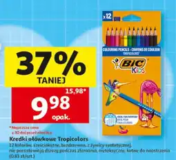 Auchan Kredki ołówkowe Tropicolors oferta