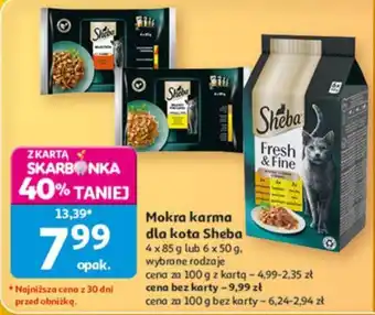 Mokra karma dla kota Sheba
