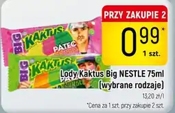 Delikatesy Piotruś Pan Lody Kaktus Big NESTLE oferta