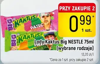 Lody Kaktus Big NESTLE