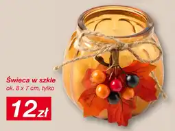 KiK Świeca w szkle oferta