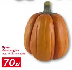 KiK Dynia dekoracyjna oferta