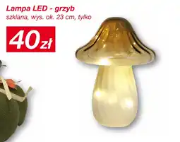 KiK Lampa LED - grzyb oferta