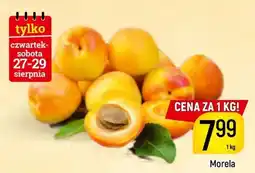 Delikatesy Piotruś Pan Morela oferta