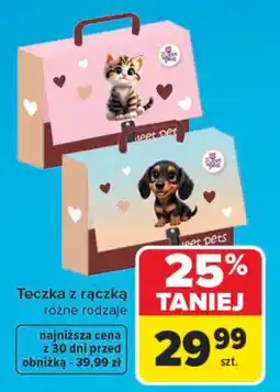 Carrefour Teczka z rączką oferta