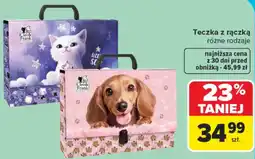 Carrefour Teczka z rączką oferta