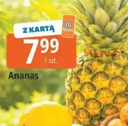 E.Leclerc Ananas oferta