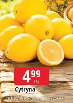 E.Leclerc Cytryna oferta