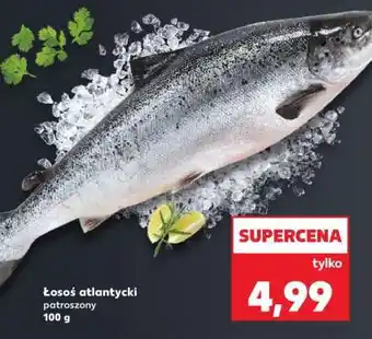 Łosoś atlantycki patroszony 100 g