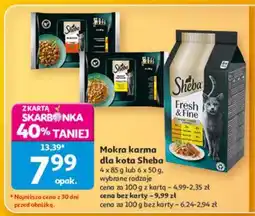 Auchan Sheba oferta