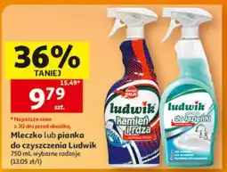 Auchan Mleczko lub pianka do czyszczenia Ludwik oferta