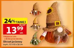Auchan Skrzat jesienny oferta
