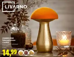 Lidl LIVARNO Dekoracja jesienna z terakoty oferta