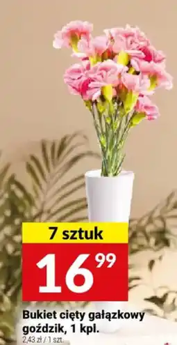 Twój Market Bukiet cięty gałązkowy goździk oferta