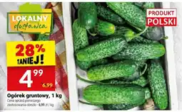 Twój Market Ogórek gruntowy oferta