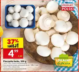 Twój Market Pieczarka tacka oferta