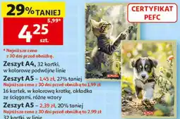 Auchan Zeszyt A4 Interdruk, 32 kartki, w kolorowe podwójne linie oferta