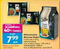 Auchan Mokra karma dla kota Sheba, wybrane rodzaje oferta