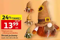 Auchan Skrzat jesienny, wym.: 12 x 10 x 18 cm oferta