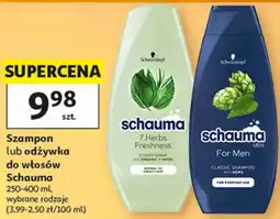 Auchan Szampon lub odżywka do włosów Schauma oferta