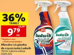 Auchan Mleczko lub pianka do czyszczenia Ludwik oferta