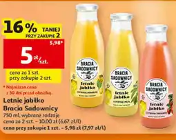 Auchan Letnie jabłko Bracia Sadownicy oferta
