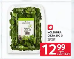 Selgros Kolendra Baziołka oferta