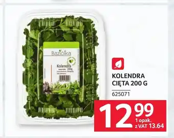 Kolendra Baziołka