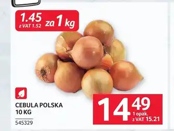 Cebula
