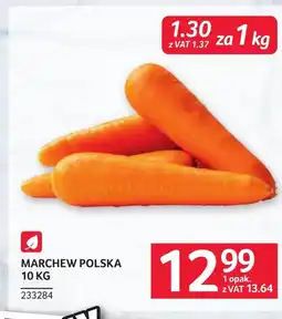 Selgros Marchew oferta