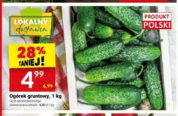 Twój Market Ogórki gruntowe oferta