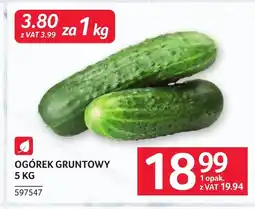 Selgros Ogórek oferta