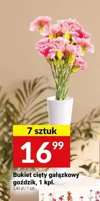 Twój Market Bukiet cięty gałązkowy goździk oferta