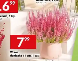Twój Market Wrzos oferta