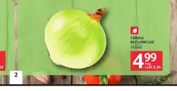 Selgros Cebula oferta