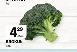 Chorten Brokuł oferta