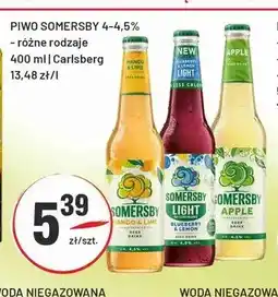 Sedal Piwo Somersby Apple oferta