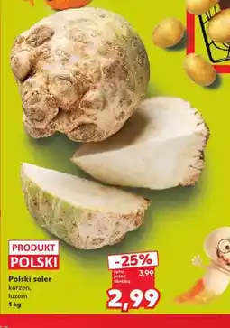 Kaufland Seler korzeń polski oferta