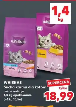 Kaufland Sucha karma dla kotów Whiskas oferta