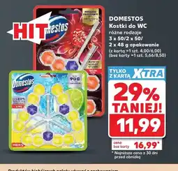 Kaufland Kostka do WC Domestos oferta