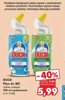 Kaufland Płyn do WC Duck Marine oferta