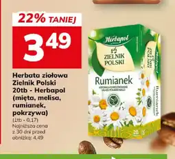 Hitpol Herbata ziołowa Zielnik Polski Herbapol mięta oferta