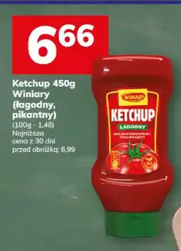 Hitpol Ketchup łagodny Winiary oferta