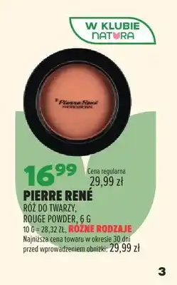 Drogerie Natura Róż do twarzy Pierre René Rouge Powder oferta