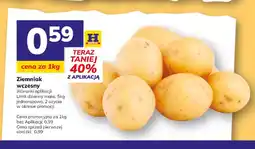 Hitpol Ziemniaki wczesne oferta