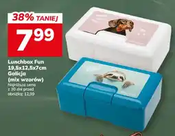 Hitpol Lunchbox Fun Galicja oferta