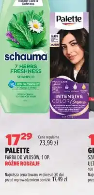 Drogerie Natura Farba do włosów Palette oferta