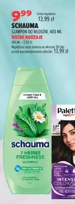 Drogerie Natura Szampon do włosów Schauma oferta