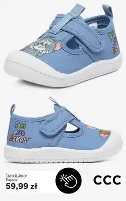 CCC Kapcie Tom & Jerry oferta